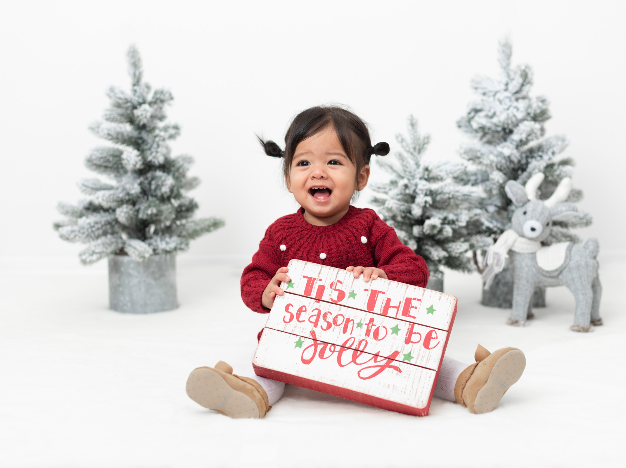 1 year old baby christmas card photo gibsons bc