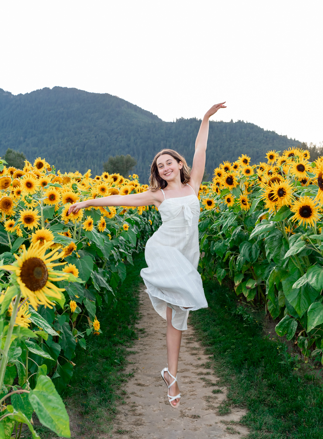 Lower mainland sunflower festival