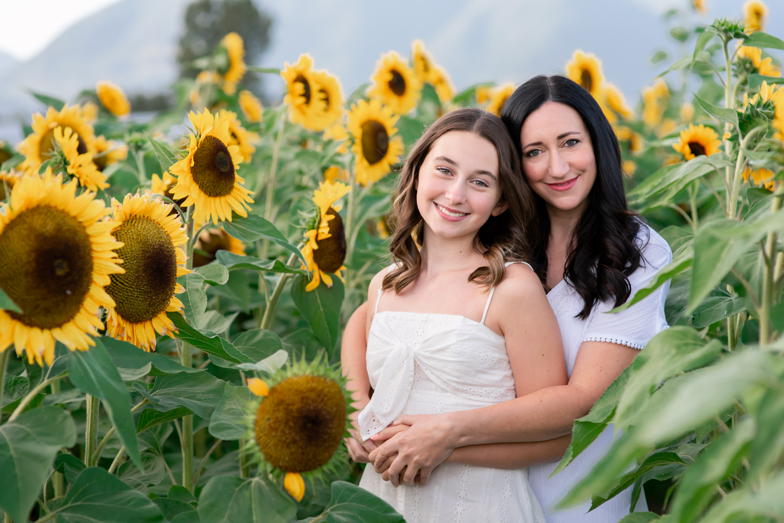 Family photos outdoors in sunflower fields sunshine coast bc