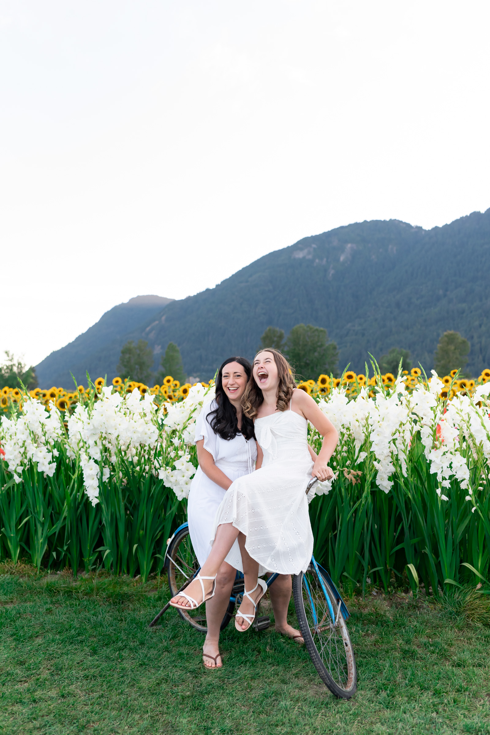 Candid family photos Vancouver sunflower fields